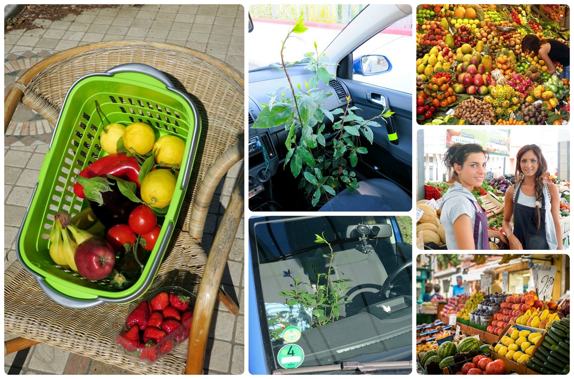 italie trh mercato potraviny ovoce zelenina