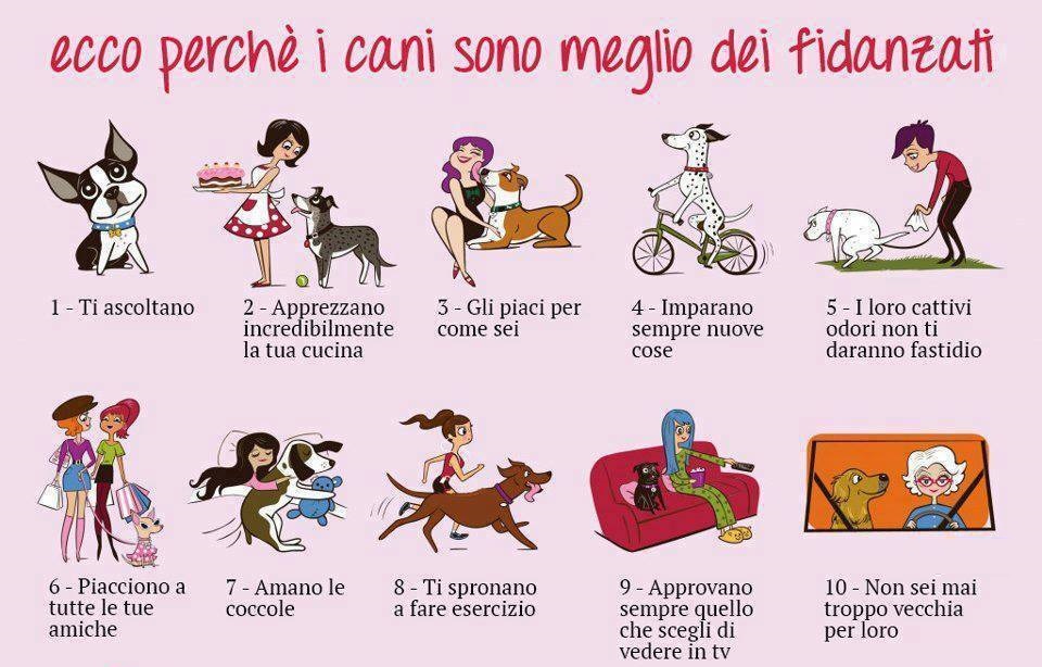 italstina proc je lepsi mit psa nez partnera