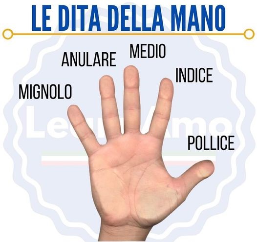 Italština prsty ruky nohy italsky